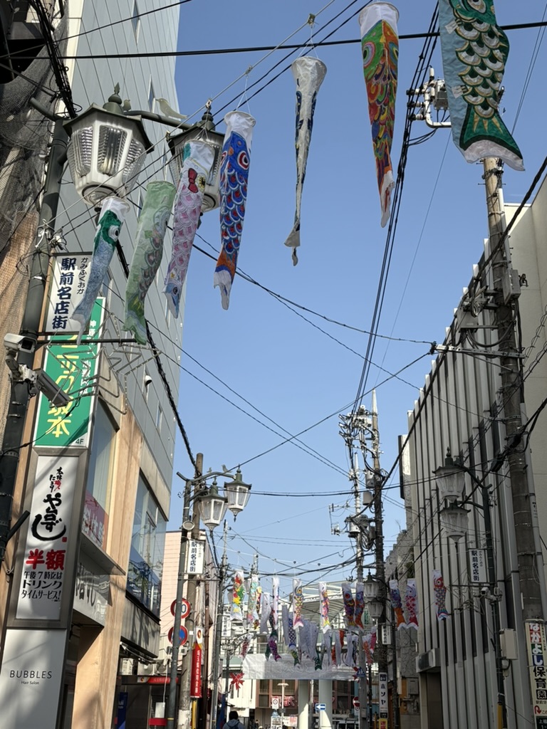 こちらは飾りはじめを撮った一枚
現在はすごい数の鯉のぼりがあります！